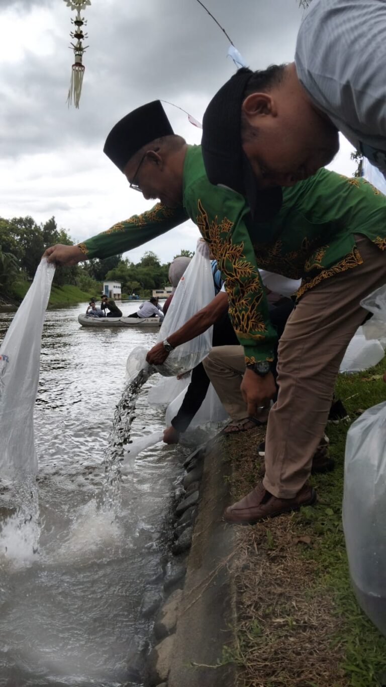 WhatsApp Image 2026-01-11 at 09.45